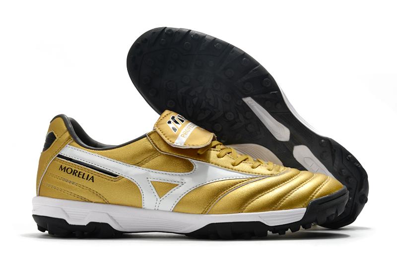 Mizuno Morelia Society