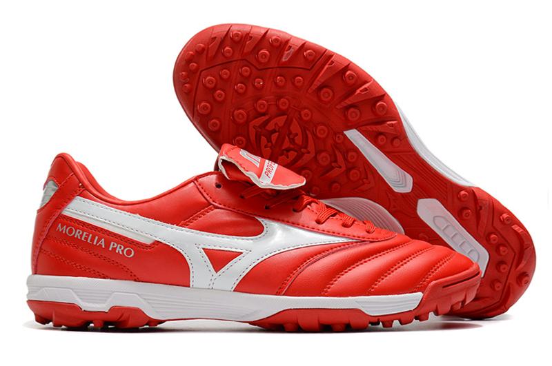 Mizuno Morelia Society