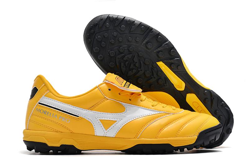 Mizuno Morelia Society