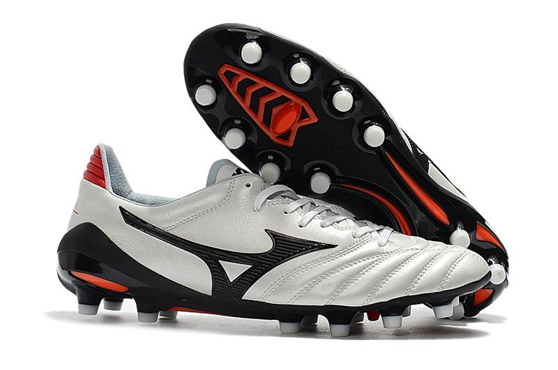 Mizuno Morelia