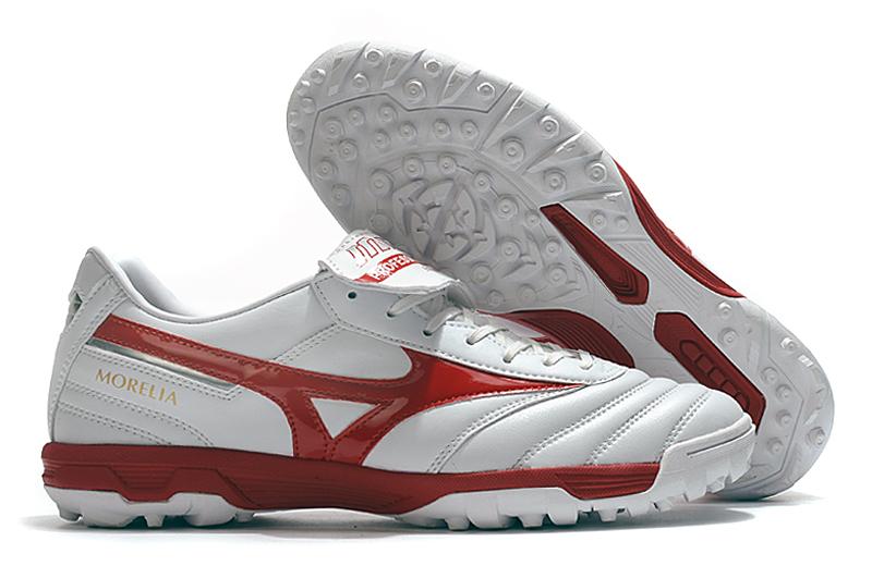 Mizuno Morelia Society